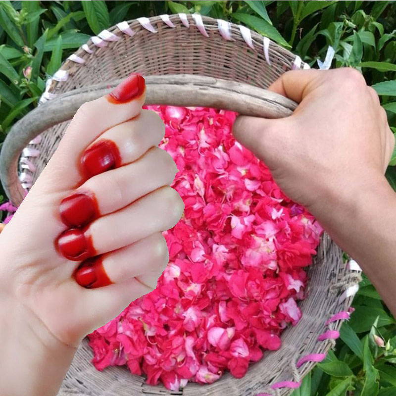 40 г порошок для крашения ногт – обзор и цена Nail Art Natural